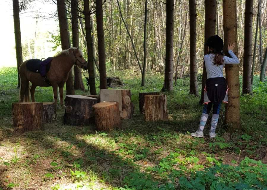 Pferd und Kind im Wald
