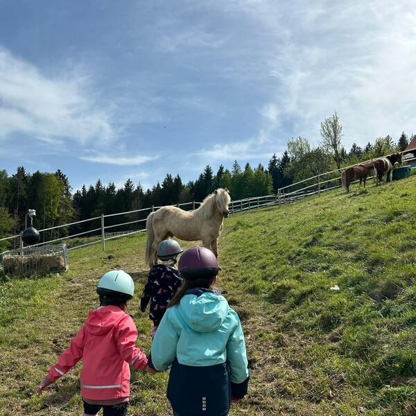 Kinder gehen auf ein Pferd zu